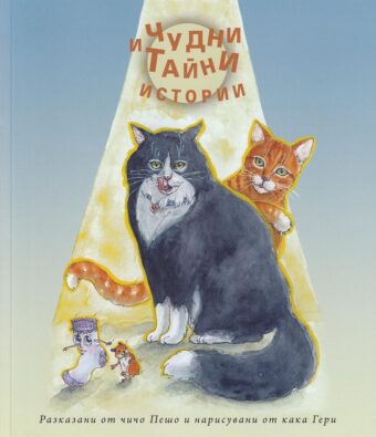 Чудни и тайни истории - детска книжка